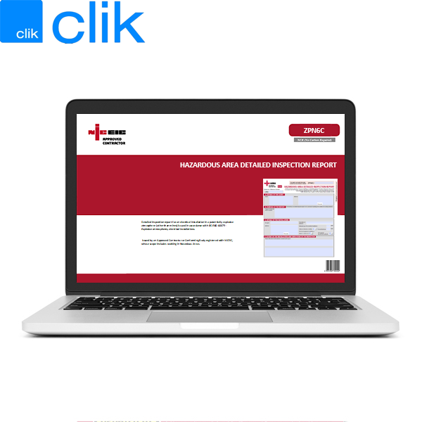 Detailed Inspection Report, ZPN6, Clik